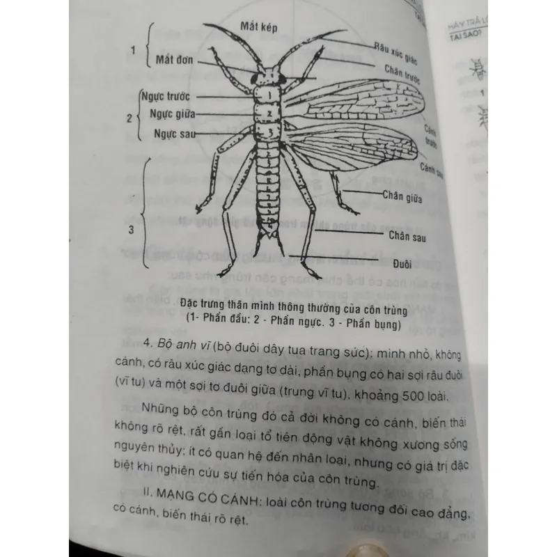 Hãy trả lời em? TẠI SAO?".
Tác giả của cuốn sách là Trình Bảo Xước và Trương Trọng Đức.
 703713