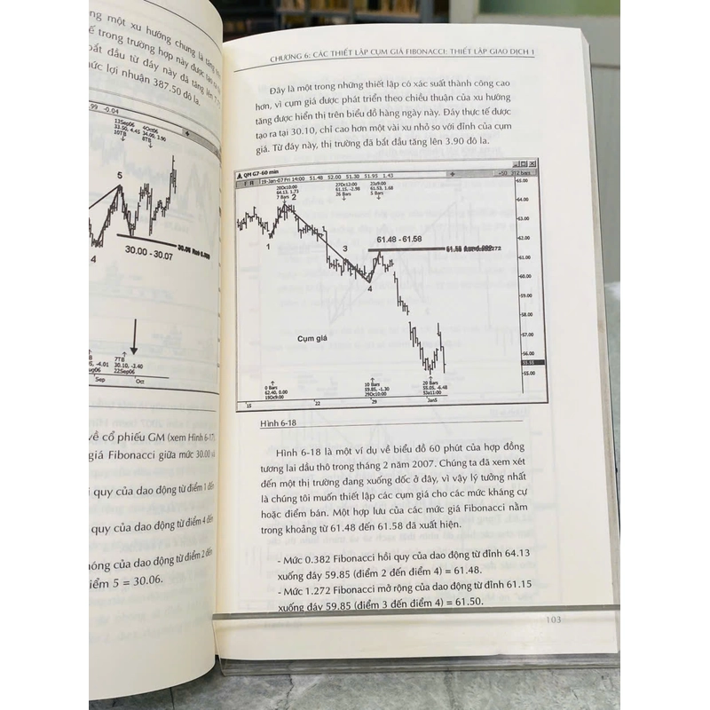 FIBONACCI TRADING 546009