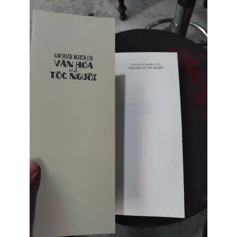 Góp phần nghiên cứu văn hóa và tộc người của GS  Nguyễn Từ Chi 990105