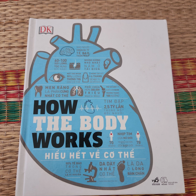 How the body works - Hiểu hết về cơ thể  379361