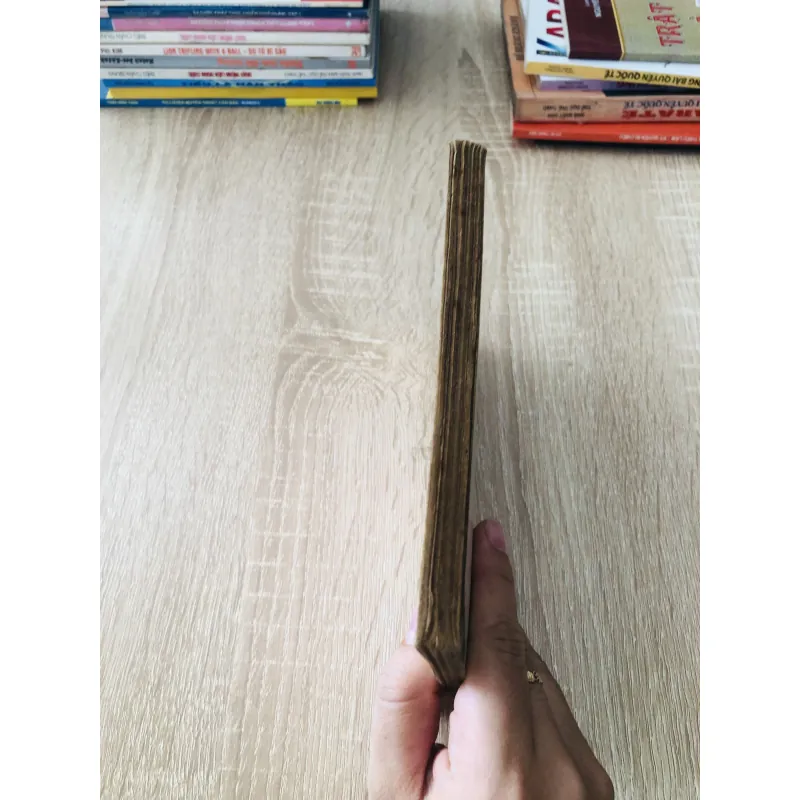 THÁI CỰC ĐẠO CHIẾN ĐẤU 1010987