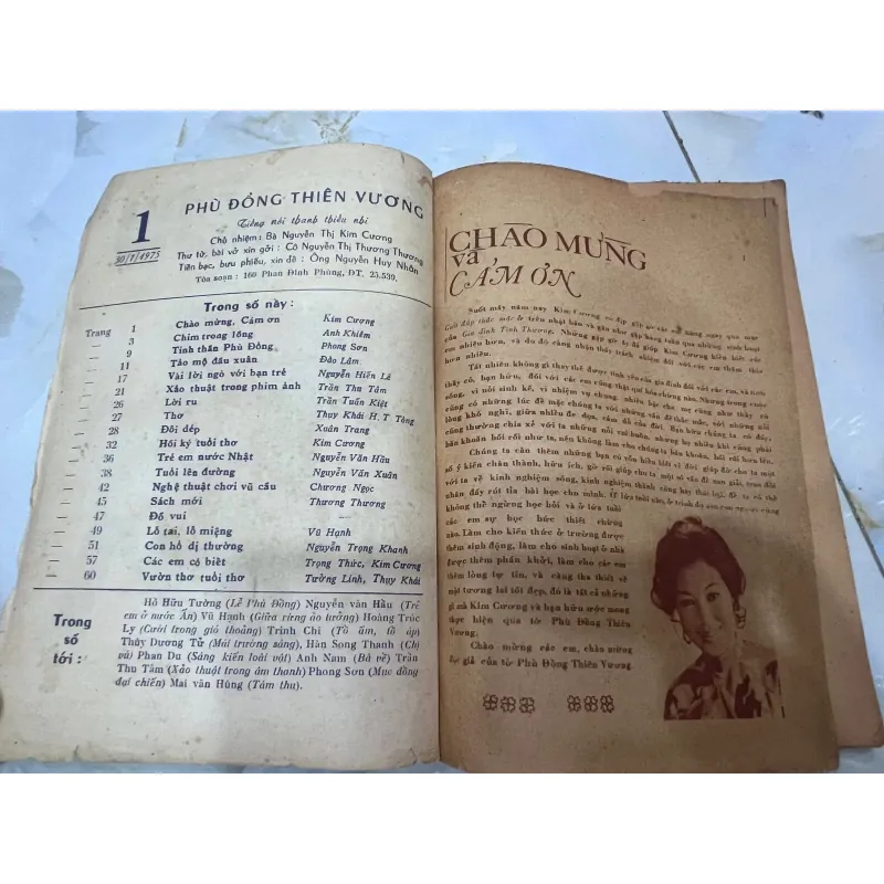 PHÙ ĐỔNG THIÊN VƯƠNG - NGHỆ SỸ KIM CƯƠNG (1975) 1029488