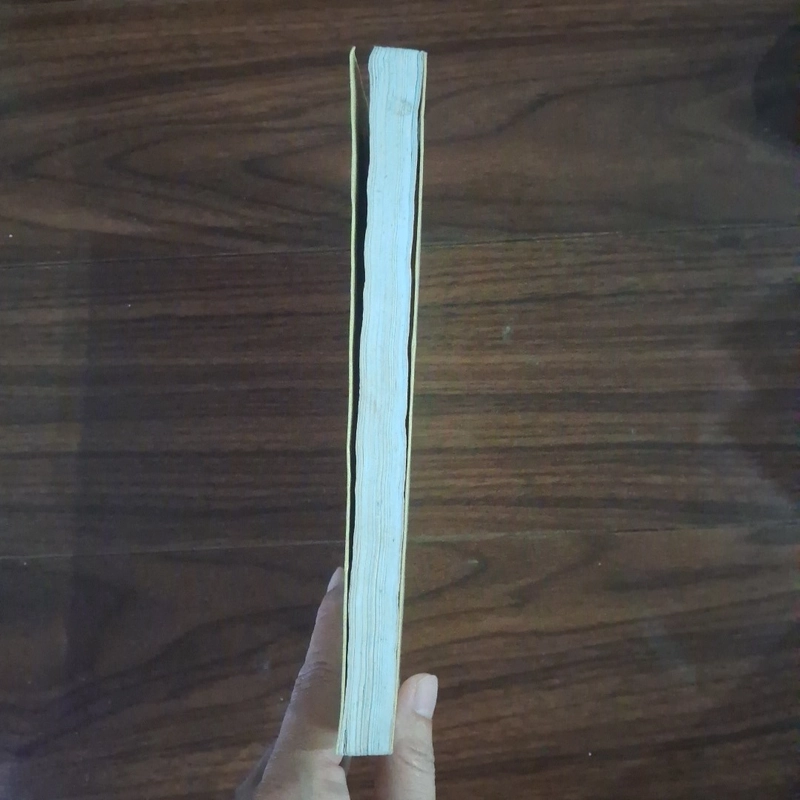 Quận chúa tân nguyệt 508012