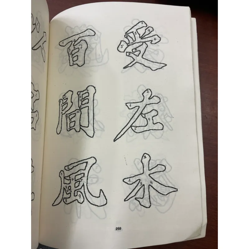 CHỮ HÁN NHỮNG VẤN ĐỀ CƠ BẢN - LÊ ĐÌNH KHẨN  1038022