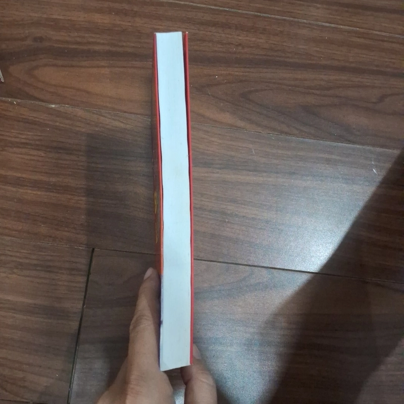 Công tử bạc liêu 512098