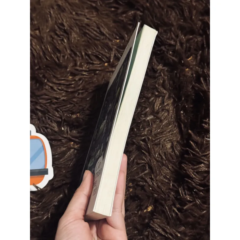 Cáp treo tình yêu 976550