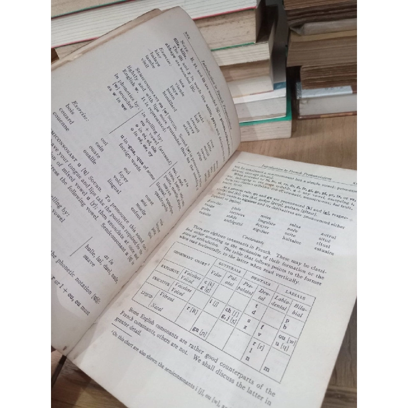 French Grammar - Francis M. Du Mont 759646