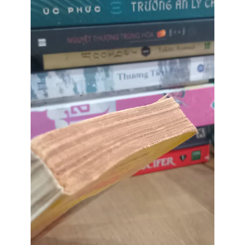 Một mình còn lại trên bến tàu - Đinh Quang Nhã 710860