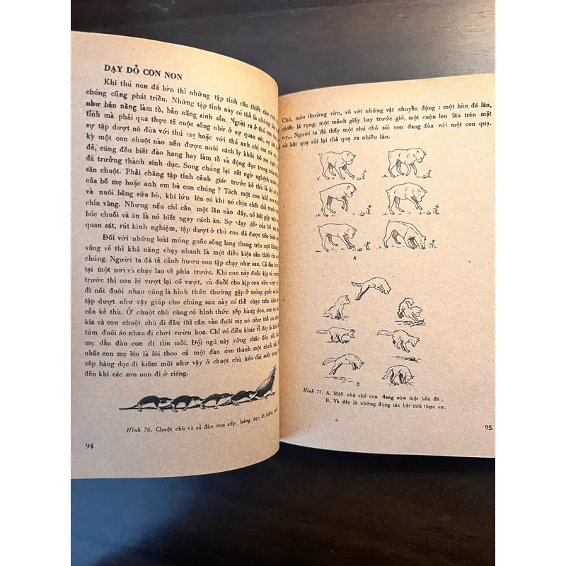 📖 Đời sống các loài thú (xb 1972) 565178