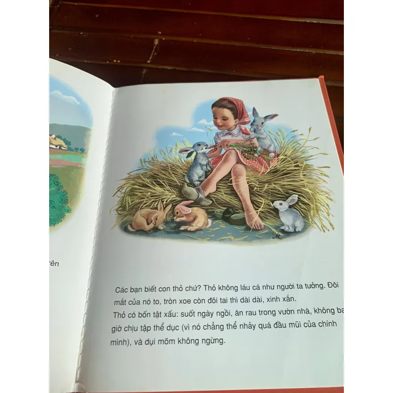 Coi bé Mác-tin về nông trại 1003923