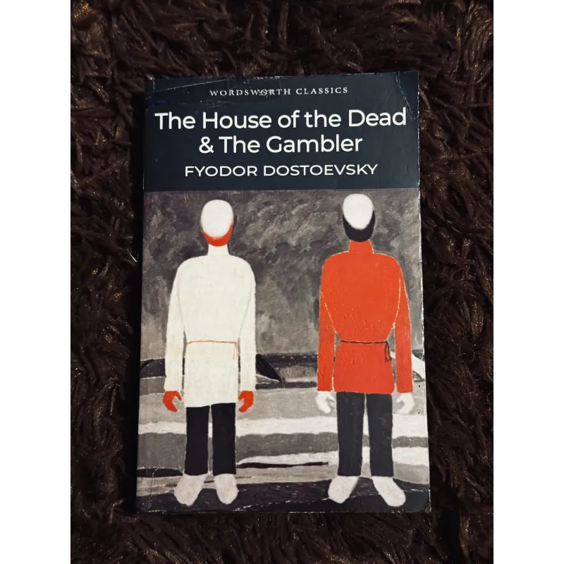 The house of the dead & the gambler  997952