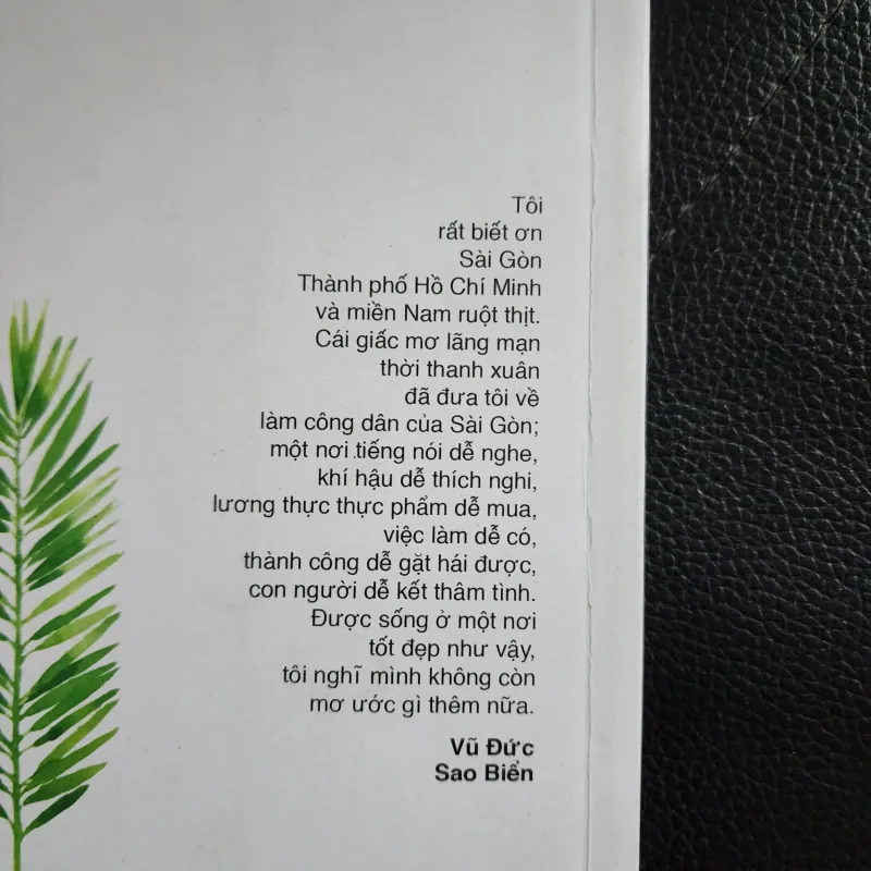 Miền nam sống đẹp | vũ đức sao biển  931041