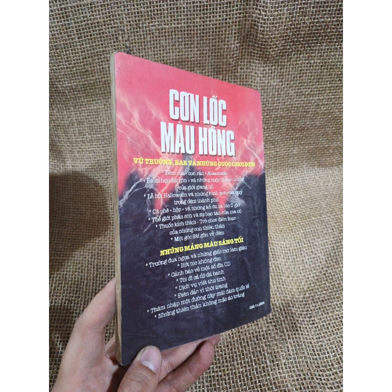 Cơn lốc màu hồng - Vương Liễu Hằng 2003 mới 80% ố nhẹ(Sách văn học) HLSC2404 1028320