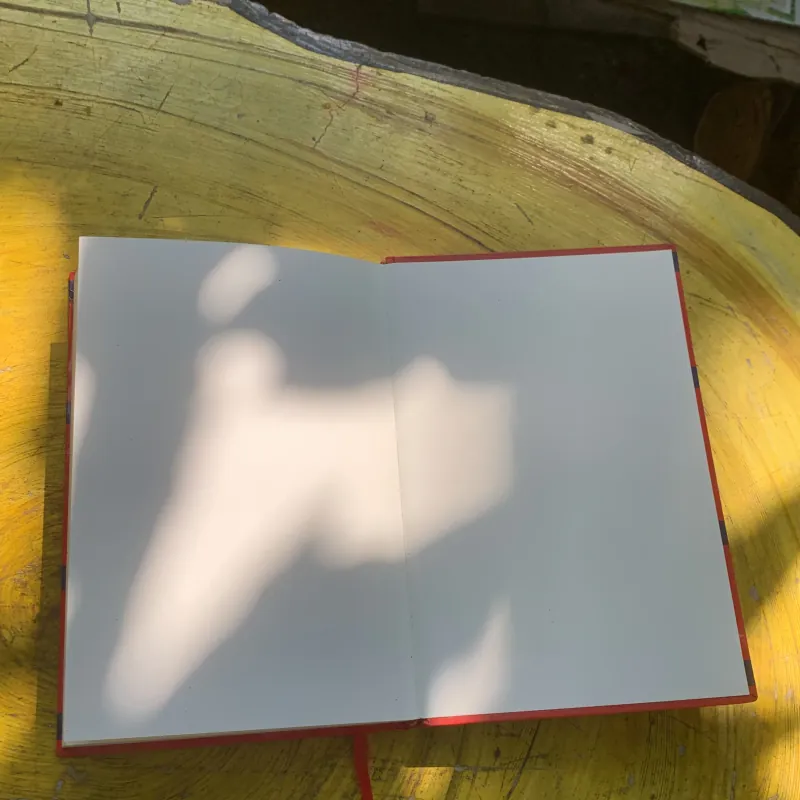 NHỮNG KỈ LỤC THẾ GIỚI - JAN PAYNE 778231