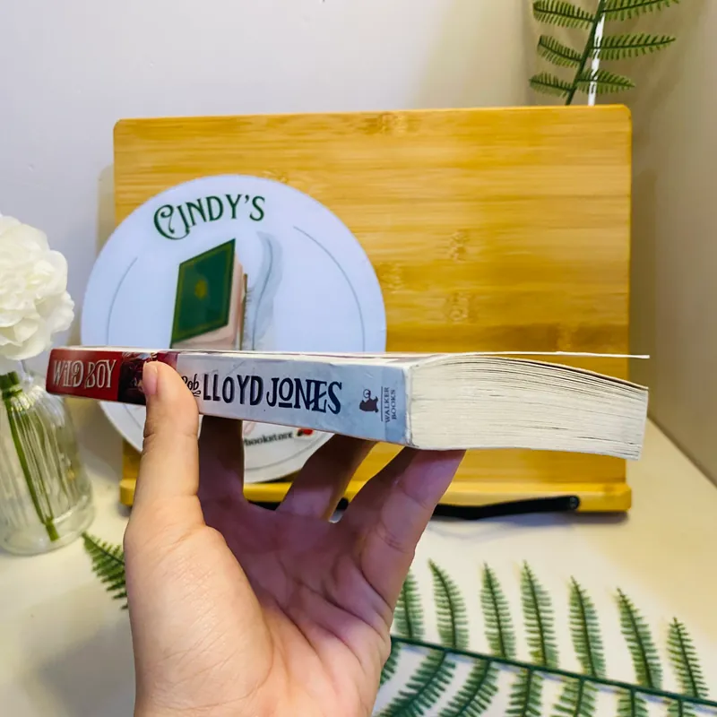 [Sách tiếng Anh 2hand] Like new 90% - Wild Boy - Rob Lloyd Jones 562279
