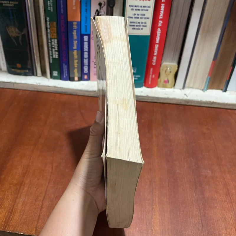 II Văn Học Việt Nam: Nam Cao _ Về Tác Gia Và Tác Phẩm - Bích Thu - 2003 801128