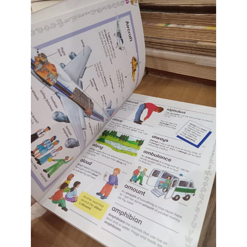 The little dictionary - Kingfisher 1019368