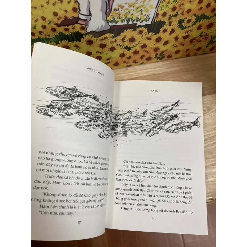 Cá Hồi - Ahn Do-hyun 1010699