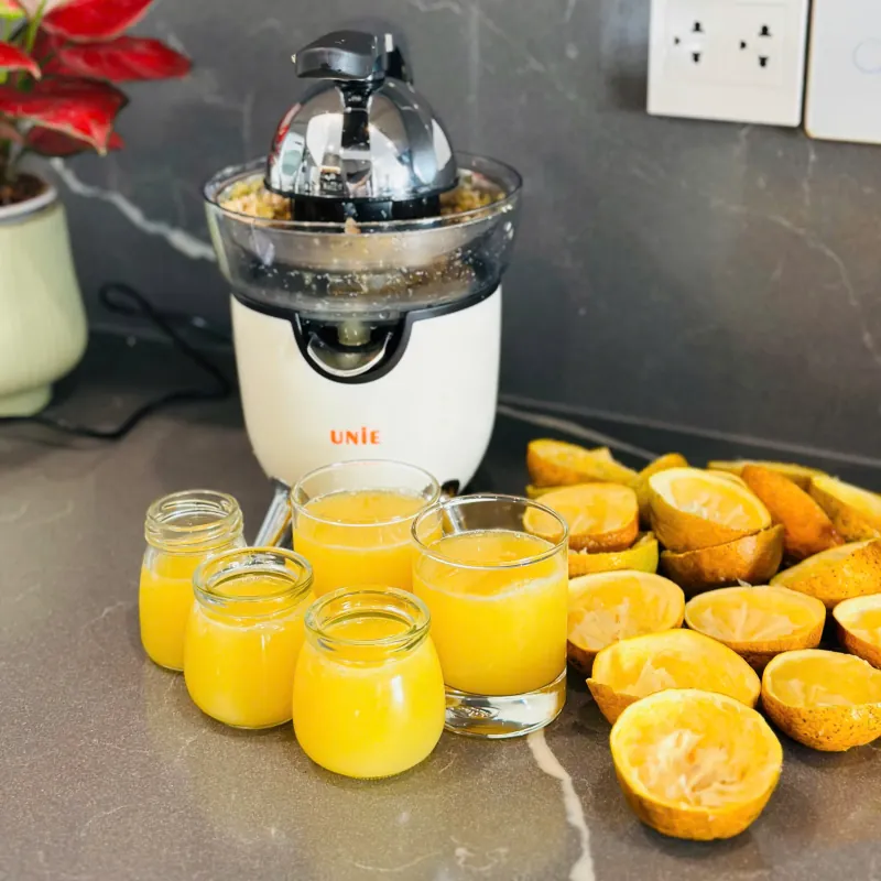 🍊 UNIE UECJ-666B – Vắt cam tự động 100W, nhanh – sạch – tiện! 729203