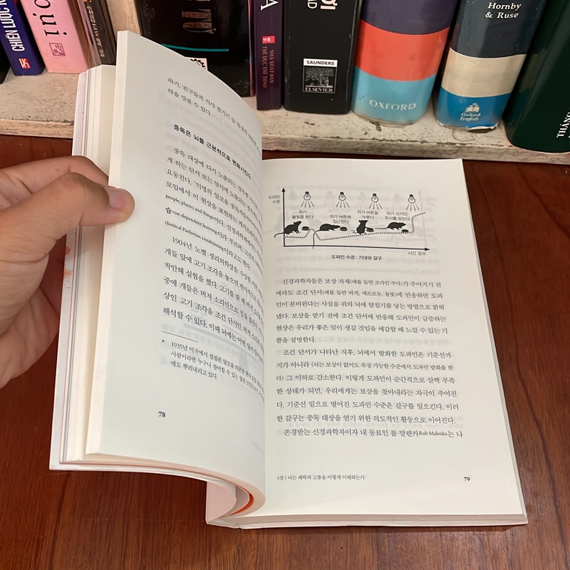 II Books: 도파민네이션 _ Dopamine Nation (쾌락 과잉 시대에서 균형 찾기) - ANNA LEMBKE 539956