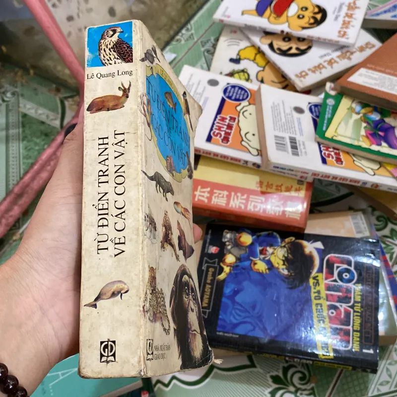 Từ điển tranh về các con vật  800456