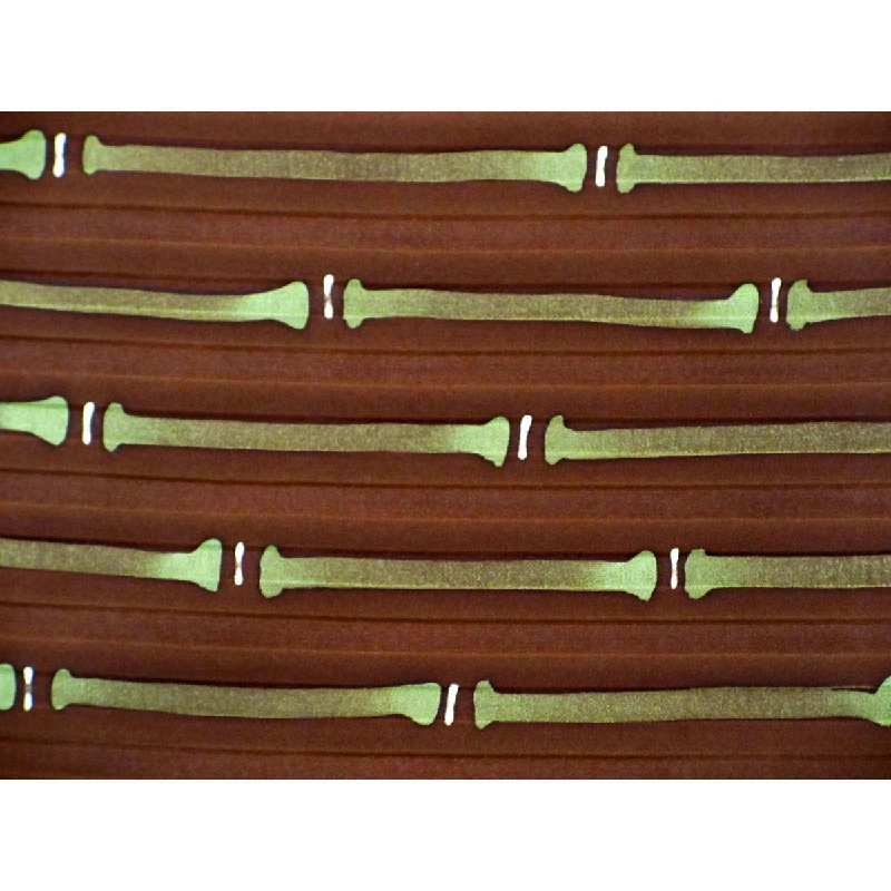 Áo khoác / Bộ 2 món - Hàng hiệu Authentic 877074