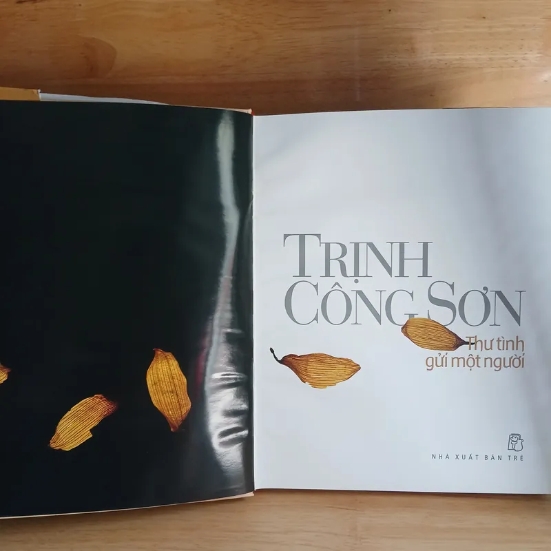 Trịnh Công Sơn - Thư Tình Gửi Một Người 560462