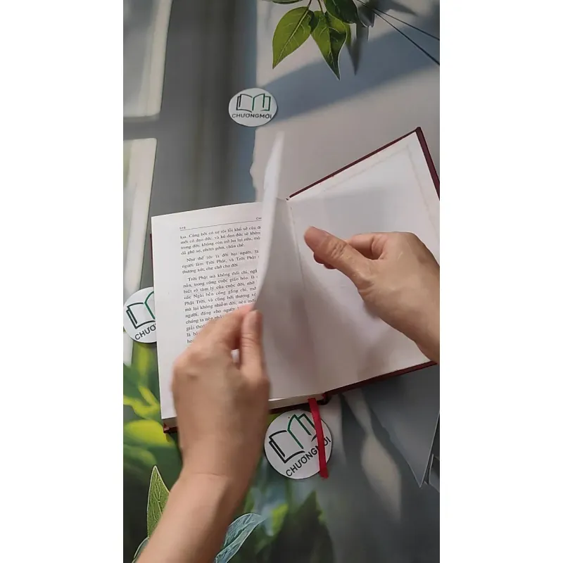 Chơn Lý 1 - Tổ Sư Minh Đăng Quang 990053