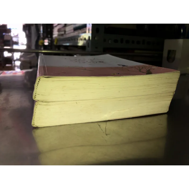 Ngoảnh lại mỉm cười - Đông bôn tây cố 1002498