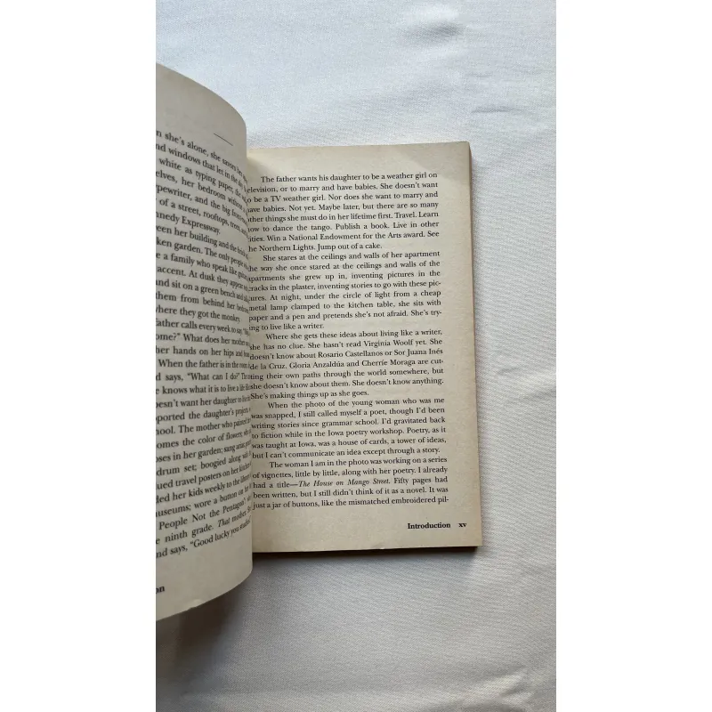 The House on Mango Street - Sandra Cisneros 789444