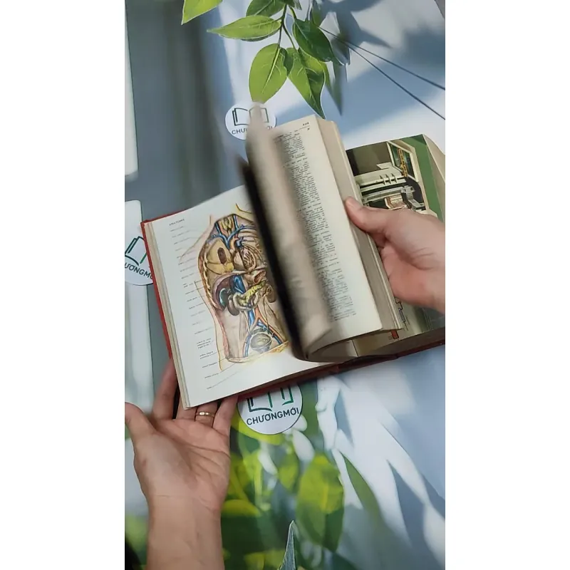 [MIỄN PHÍ BỌC SÁCH] Nouveau Petit Larousse 750740