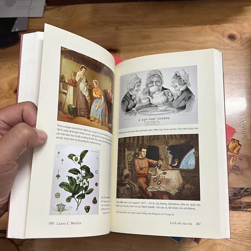 II Tìm Hiểu Về Trà: Lịch Sử Của Trà - LAURA C. MARTIN - 2019 700980