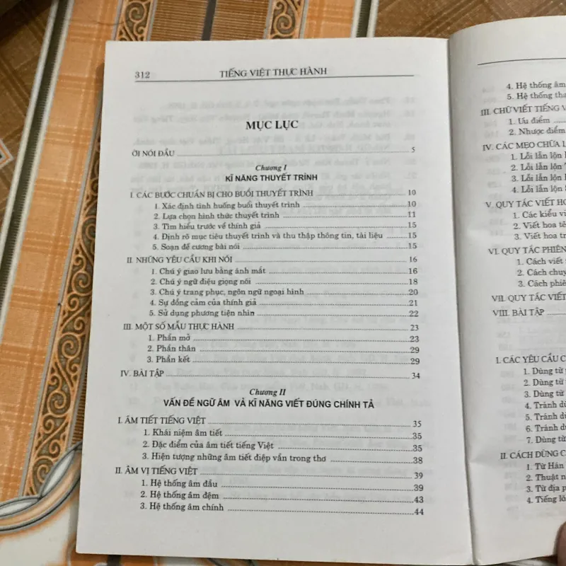 Tiếng Việt thực hành 784559