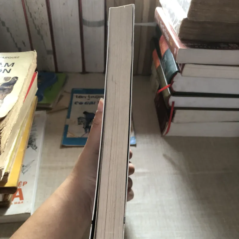 Tái sinh ở Phương Tây 993285