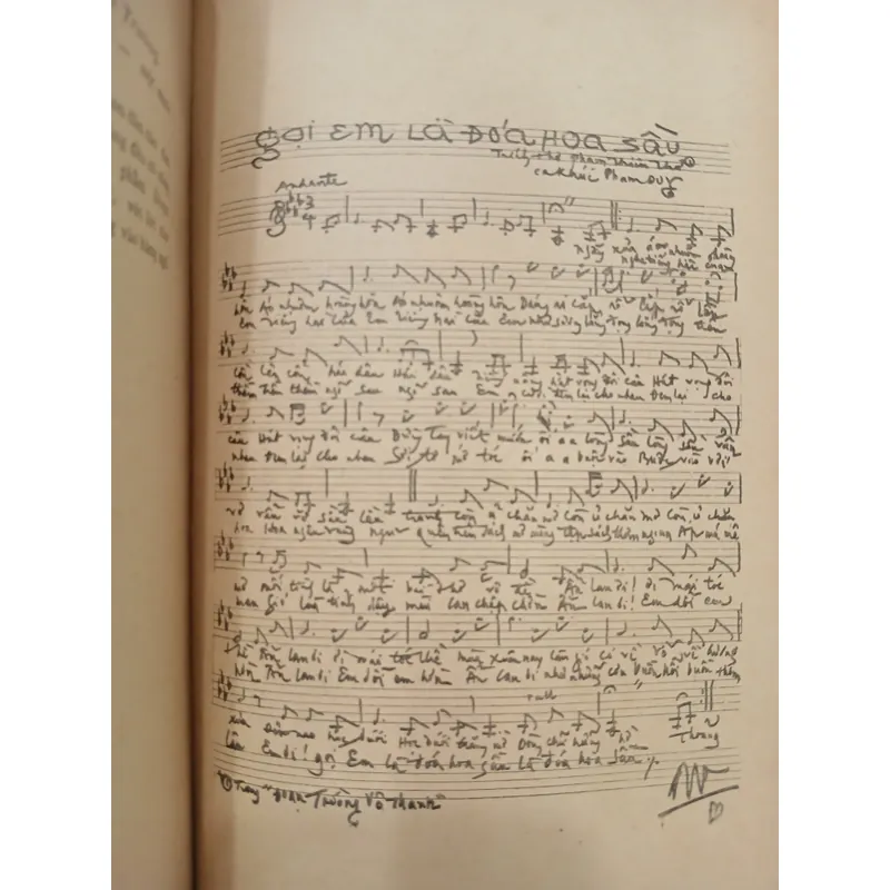 ĐOẠN TRƯỜNG VÔ THANH - PHẠM THIÊN THƯ 734908