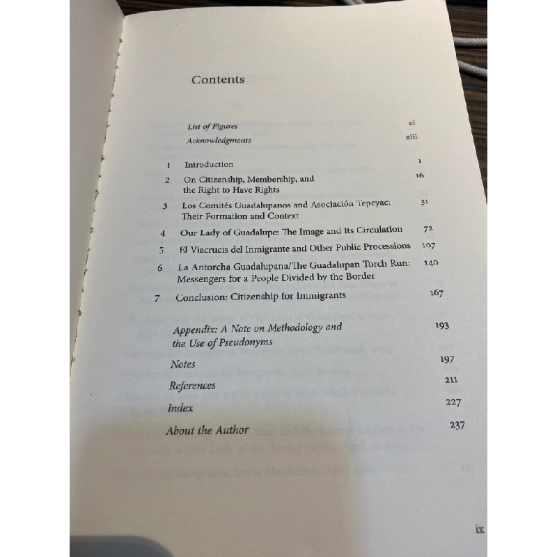 Guadalupe in New York : Devotion and the Struggle for Citizenship Rights among Mexican Immigrants - Alyshia Gálvez 449135