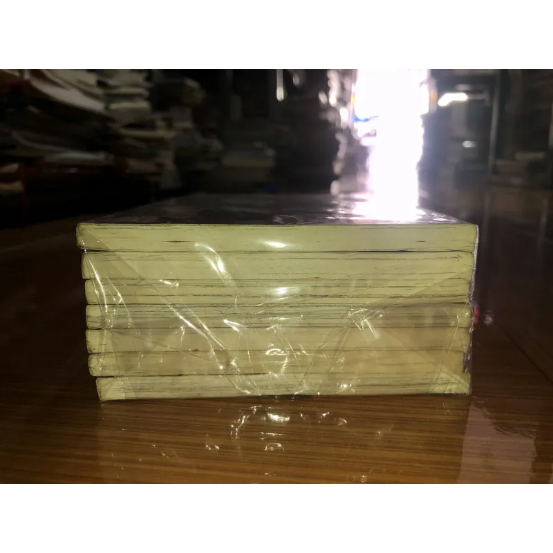 Ngôi sao chính nghĩa - Yoko Maki - Aki Mochida 778920