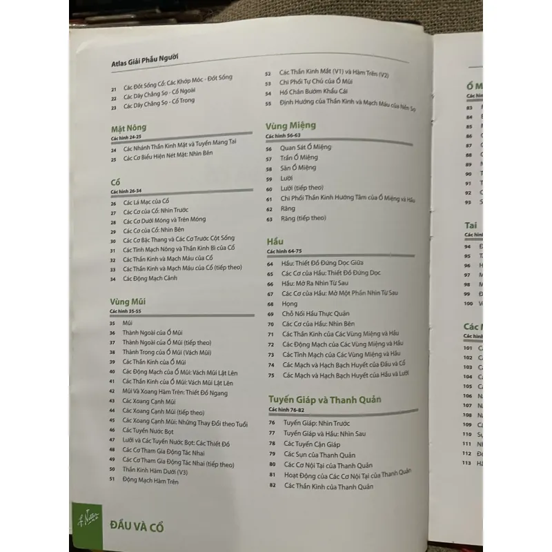 ATLAS GIẢI PHẪU NGƯỜI - FRANK H. NETTER, MD - sách dày, in màu  961604