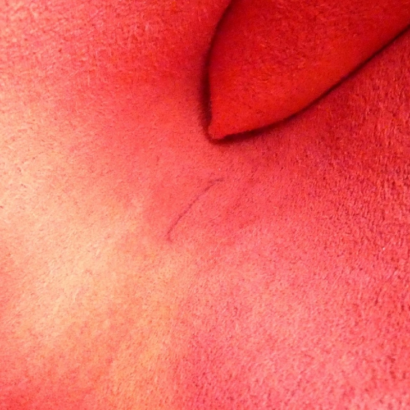 Túi đeo chéo Louis Vuitton Epi Pochette Accessoires 24cm M52947 619283