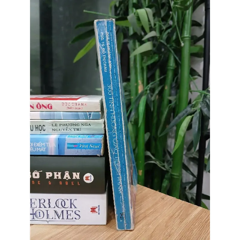 300 tình huống giao tiếp sư phạm – PGS.TS Hoàng Anh, PGS.TS Đỗ Thị Châu 570902