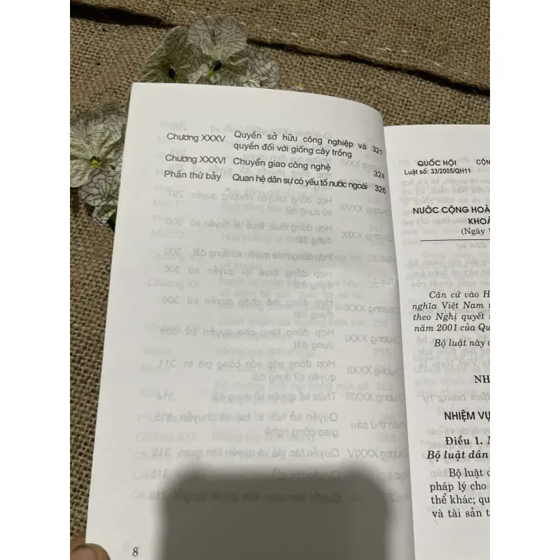 Bộ luật dân sự , hơn 300 trang  797684