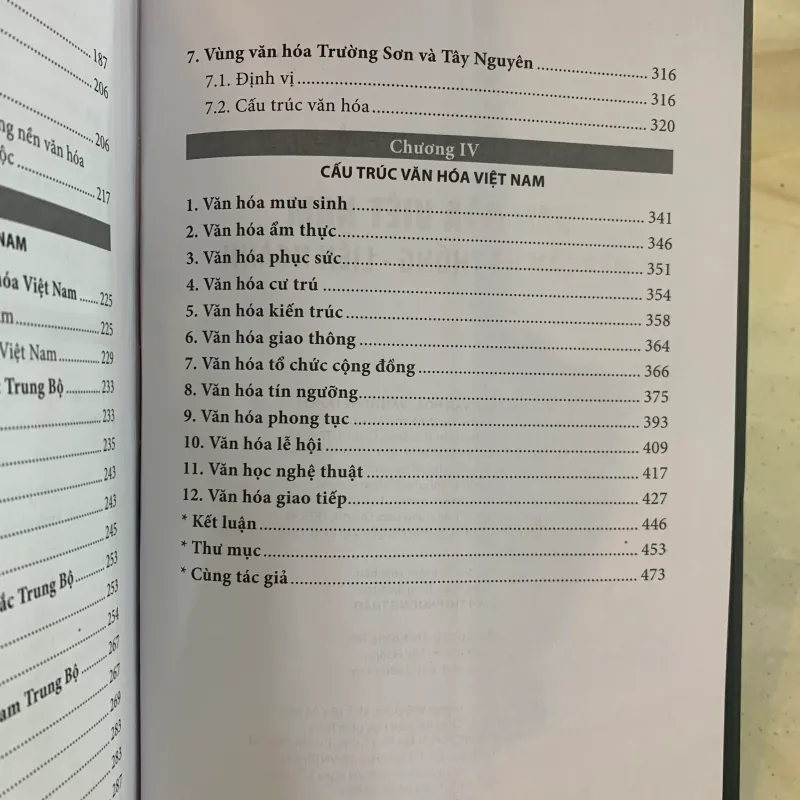 VĂN HOÁ VIỆT NAM TIẾP CẬN HỆ THỐNG LIÊN NGÀNH - TS. LÝ TÙNG HIẾU 789469