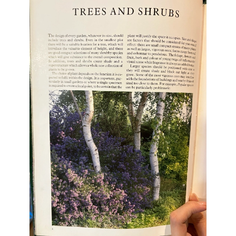 The garden designer selecting plants - Caroline Boisset and John Walker 1008072