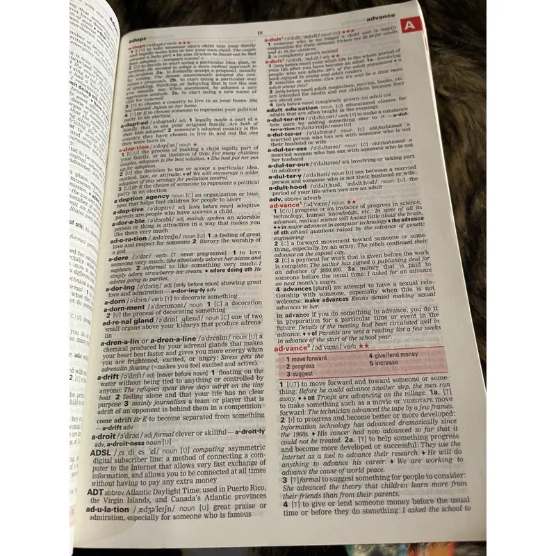 English DICTIONARY 696758