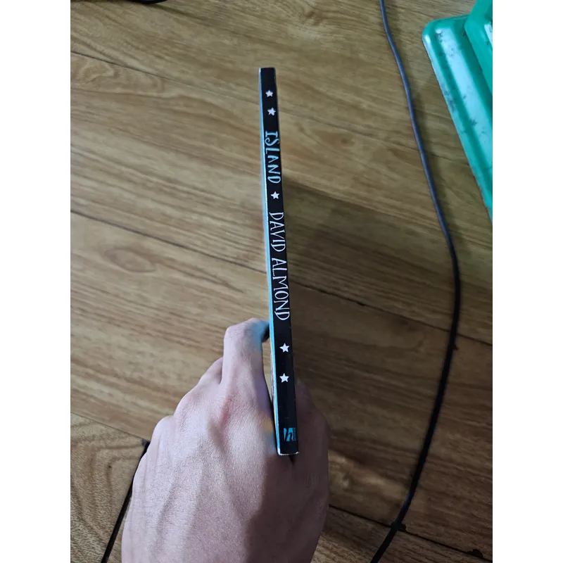 Island from the winner of the guardian children's fiction prize 
 739560