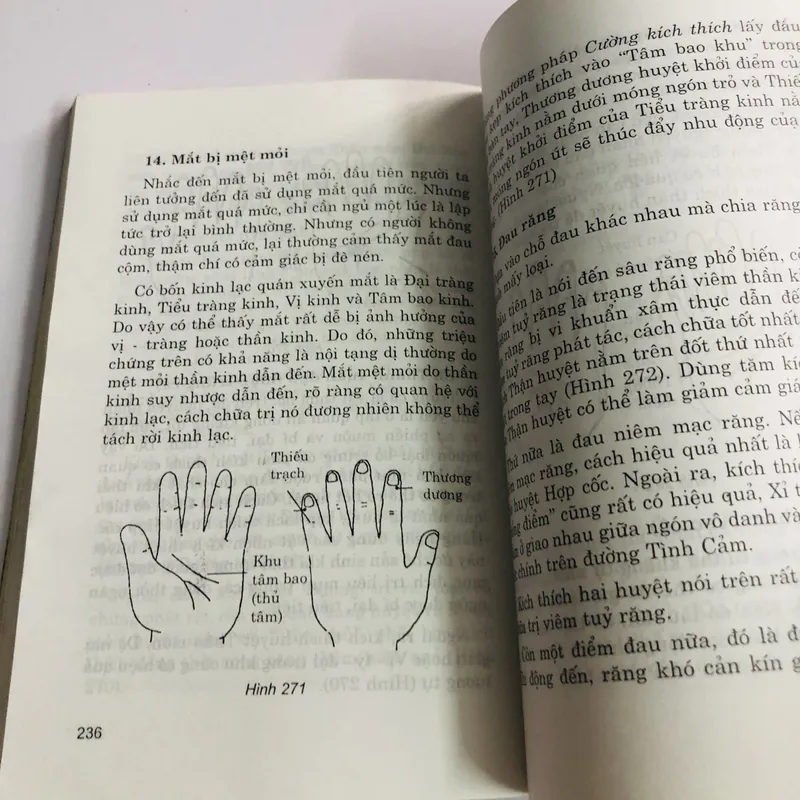 BÀN TAY MÃ SỐ CUỘC ĐỜI  693841