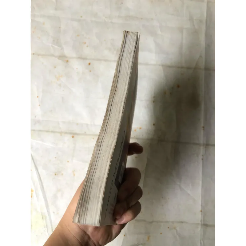 Ngôi Đền Vàng - Yukio Mishima 733692