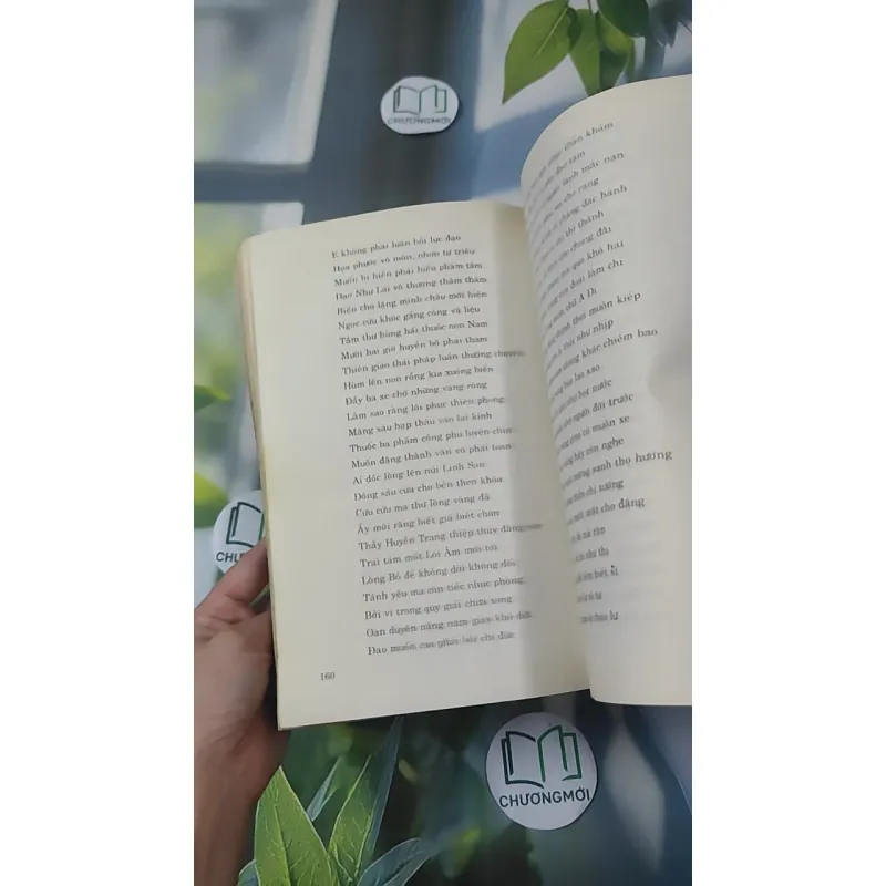 Hồi Dương Nhơn Quả 1018902