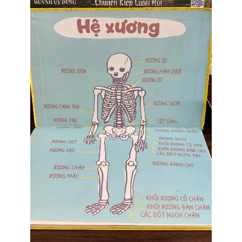Cẩm nang thiên tài trẻ: Cơ thể người — Ken Jennings 576602