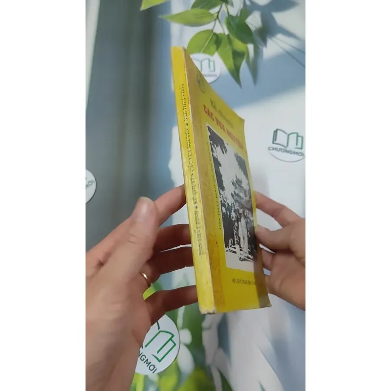 [MIỄN PHÍ BỌC SÁCH] [XƯA] Kể Chuyện Các Vua Nguyễn (1995) - Tôn Thất Bình 776034